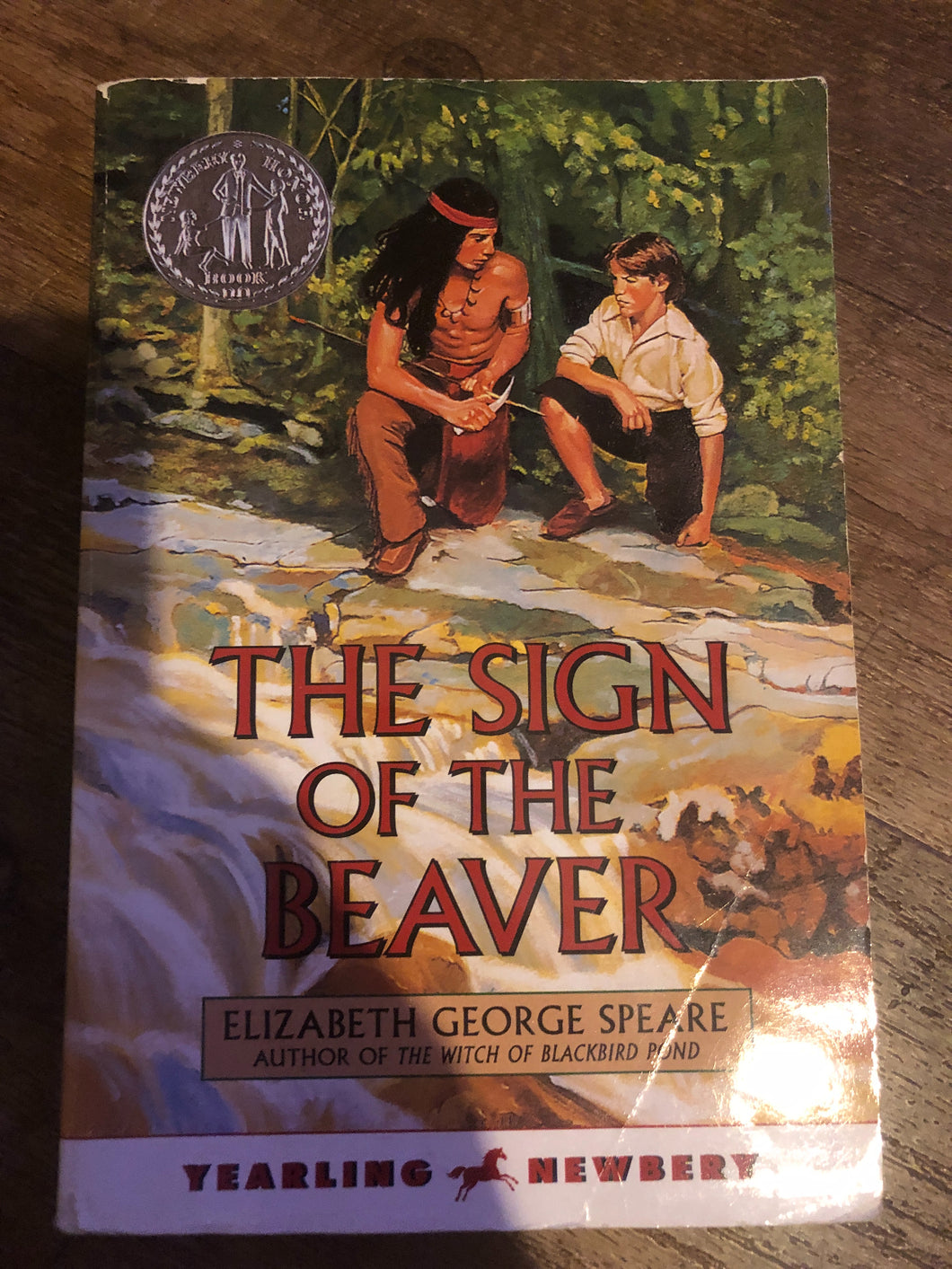 The Sign of the Beaver Elizabeth George Speare – Village Trade Carolinas